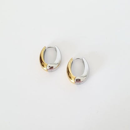 Δίχρωμα σκουλαρίκια 
